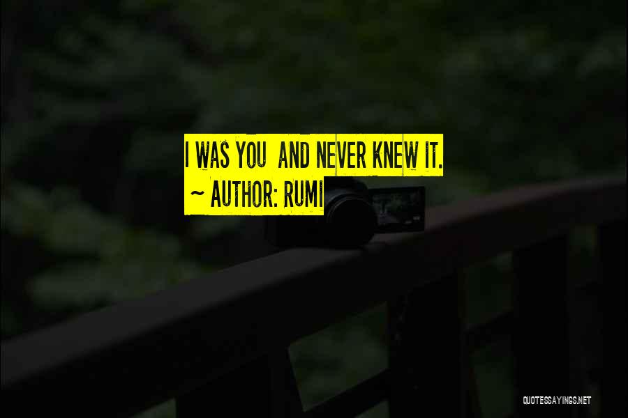 Rumi Quotes: I Was You And Never Knew It.