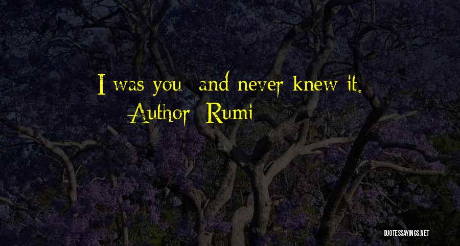 Rumi Quotes: I Was You And Never Knew It.