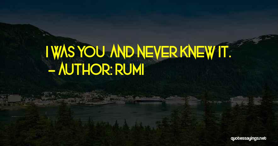 Rumi Quotes: I Was You And Never Knew It.