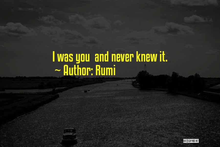 Rumi Quotes: I Was You And Never Knew It.