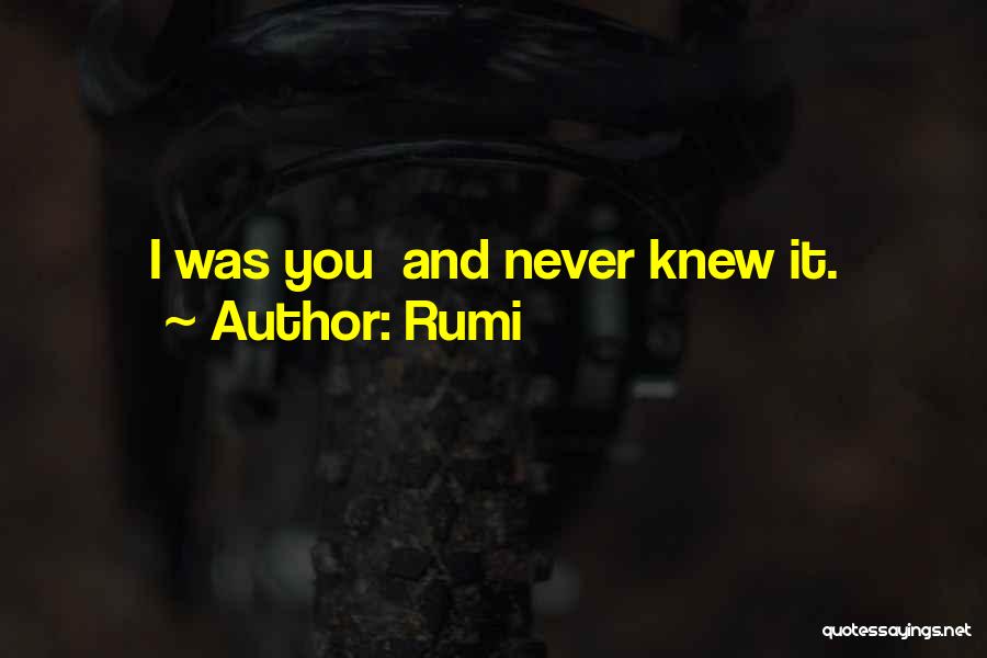 Rumi Quotes: I Was You And Never Knew It.