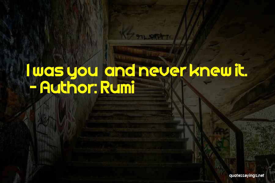 Rumi Quotes: I Was You And Never Knew It.