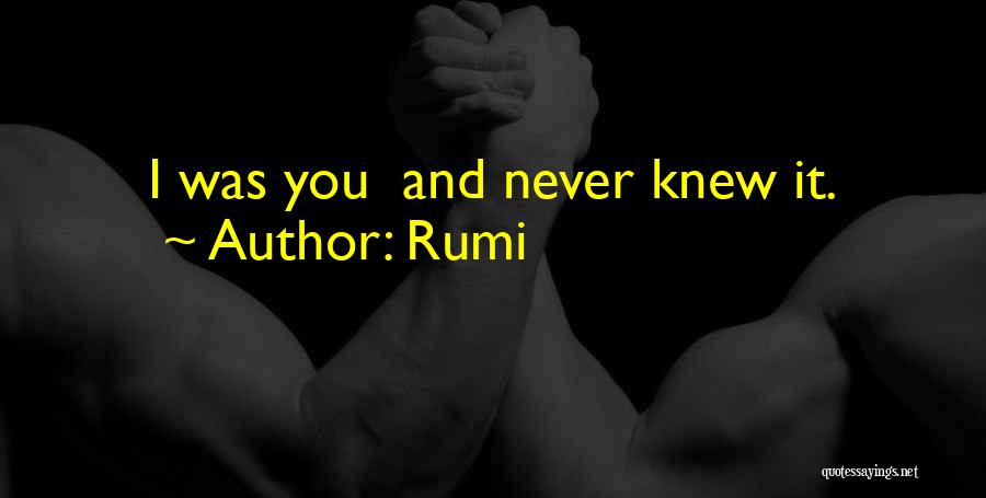 Rumi Quotes: I Was You And Never Knew It.
