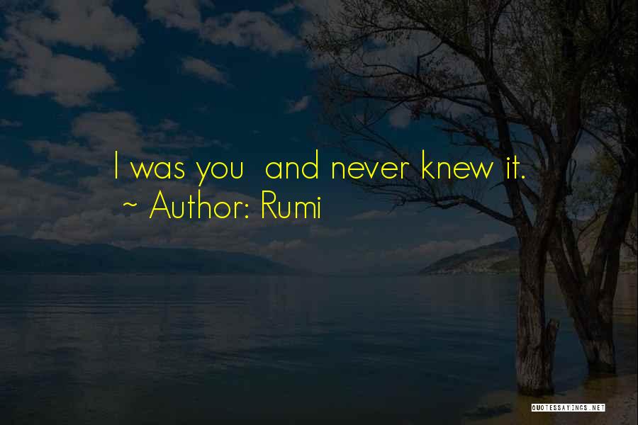 Rumi Quotes: I Was You And Never Knew It.