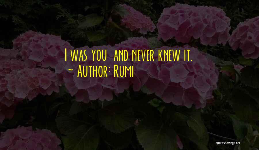 Rumi Quotes: I Was You And Never Knew It.