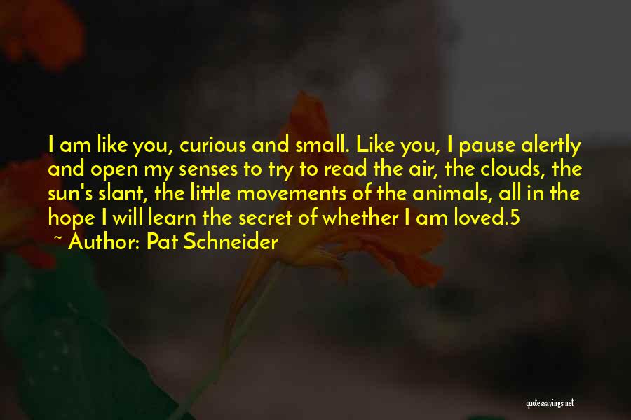 Pat Schneider Quotes: I Am Like You, Curious And Small. Like You, I Pause Alertly And Open My Senses To Try To Read