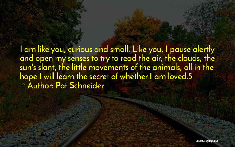 Pat Schneider Quotes: I Am Like You, Curious And Small. Like You, I Pause Alertly And Open My Senses To Try To Read