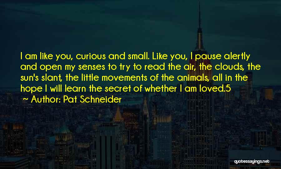 Pat Schneider Quotes: I Am Like You, Curious And Small. Like You, I Pause Alertly And Open My Senses To Try To Read