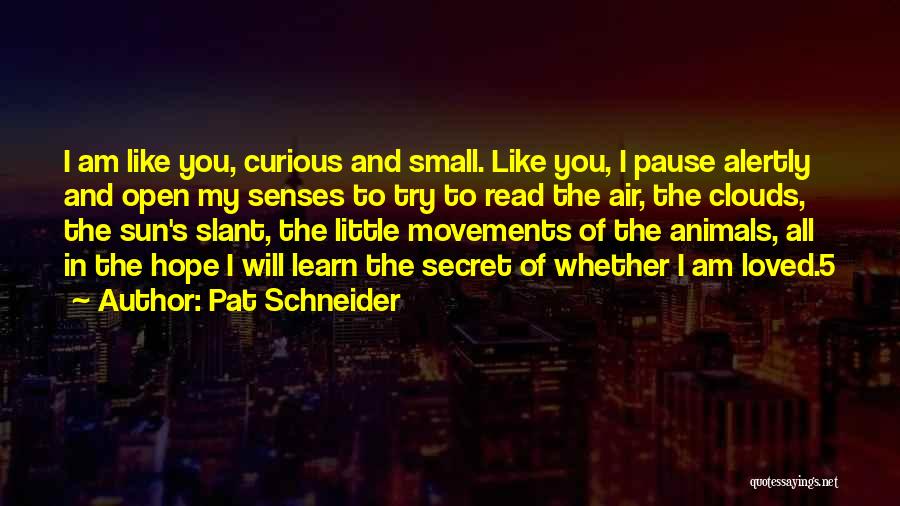 Pat Schneider Quotes: I Am Like You, Curious And Small. Like You, I Pause Alertly And Open My Senses To Try To Read