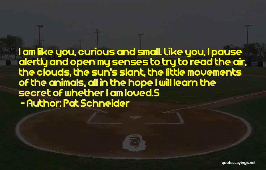 Pat Schneider Quotes: I Am Like You, Curious And Small. Like You, I Pause Alertly And Open My Senses To Try To Read