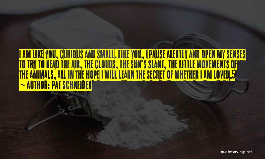 Pat Schneider Quotes: I Am Like You, Curious And Small. Like You, I Pause Alertly And Open My Senses To Try To Read