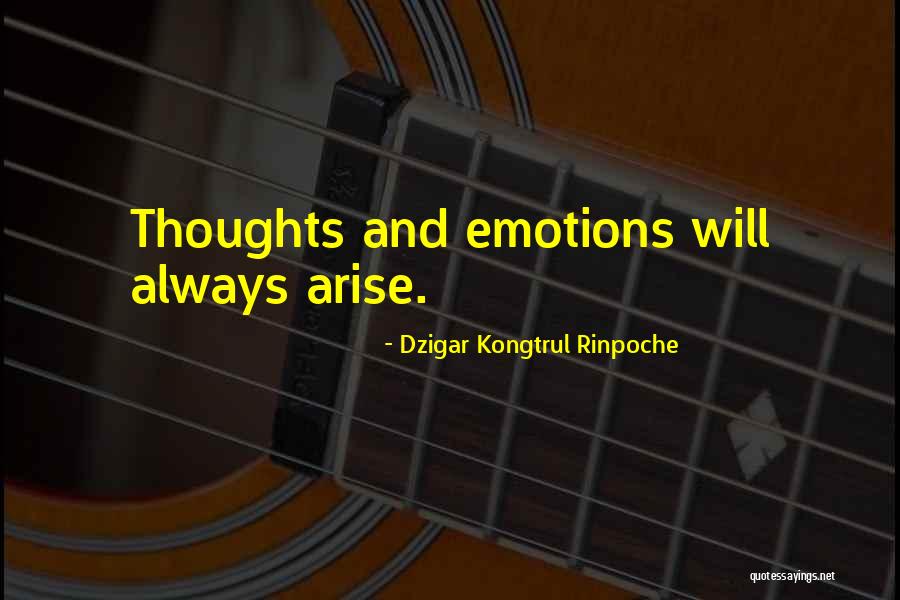 172 Centimeters Quotes By Dzigar Kongtrul Rinpoche 172 Centimeters Quotes By Dzigar Kongtrul Rinpoche