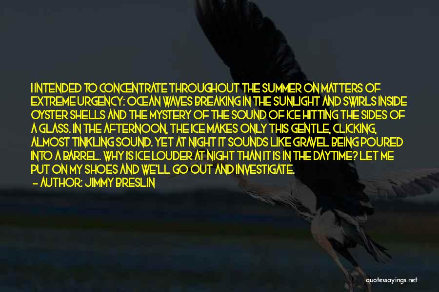 Jimmy Breslin Quotes: I Intended To Concentrate Throughout The Summer On Matters Of Extreme Urgency: Ocean Waves Breaking In The Sunlight And Swirls