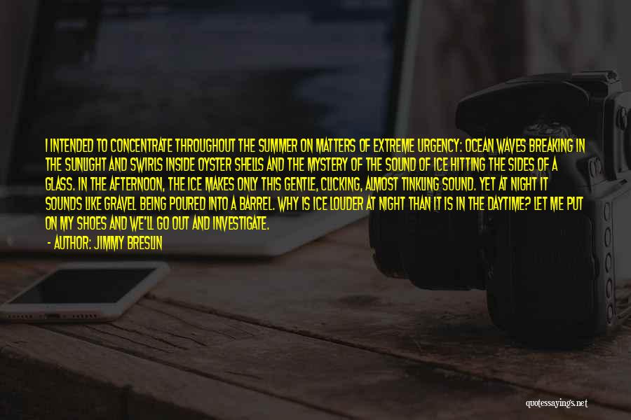 Jimmy Breslin Quotes: I Intended To Concentrate Throughout The Summer On Matters Of Extreme Urgency: Ocean Waves Breaking In The Sunlight And Swirls