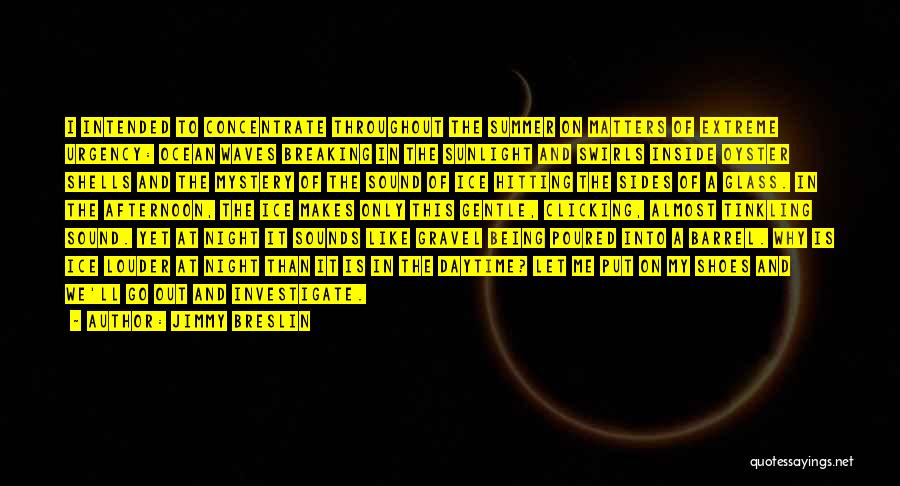 Jimmy Breslin Quotes: I Intended To Concentrate Throughout The Summer On Matters Of Extreme Urgency: Ocean Waves Breaking In The Sunlight And Swirls