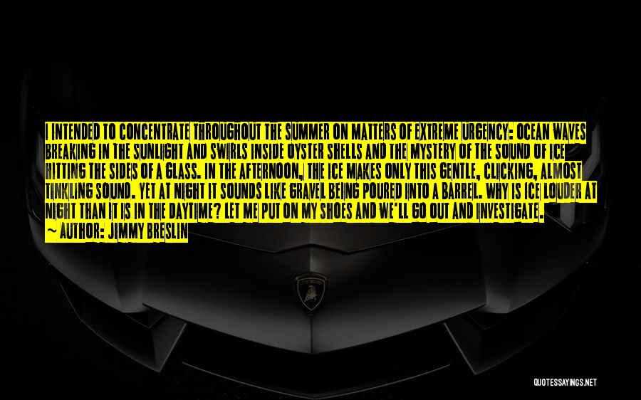 Jimmy Breslin Quotes: I Intended To Concentrate Throughout The Summer On Matters Of Extreme Urgency: Ocean Waves Breaking In The Sunlight And Swirls