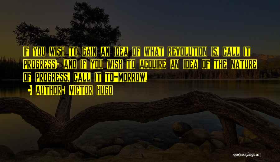 Victor Hugo Quotes: If You Wish To Gain An Idea Of What Revolution Is, Call It Progress; And If You Wish To Acquire