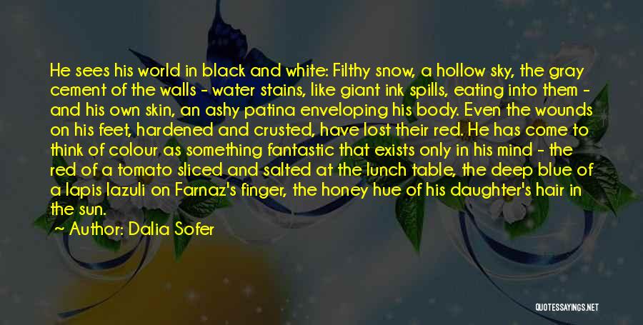 Dalia Sofer Quotes: He Sees His World In Black And White: Filthy Snow, A Hollow Sky, The Gray Cement Of The Walls -