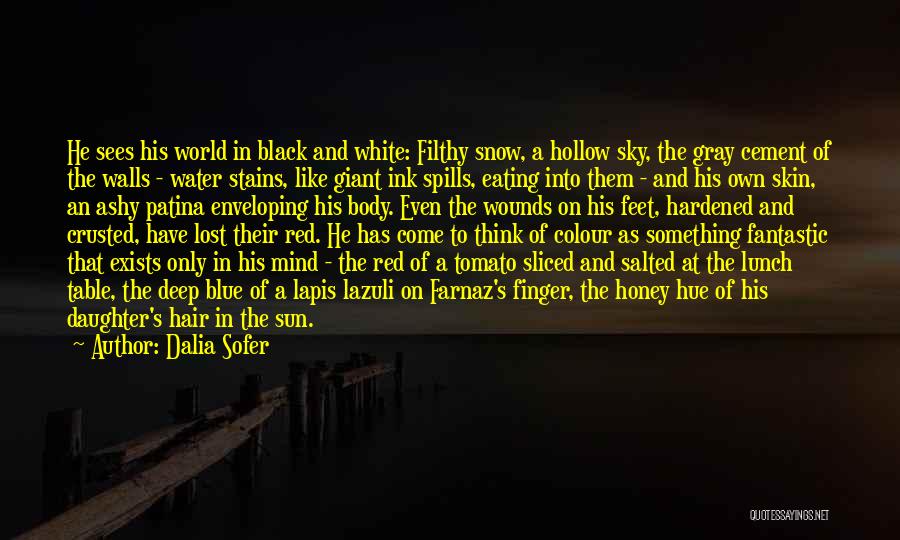Dalia Sofer Quotes: He Sees His World In Black And White: Filthy Snow, A Hollow Sky, The Gray Cement Of The Walls -