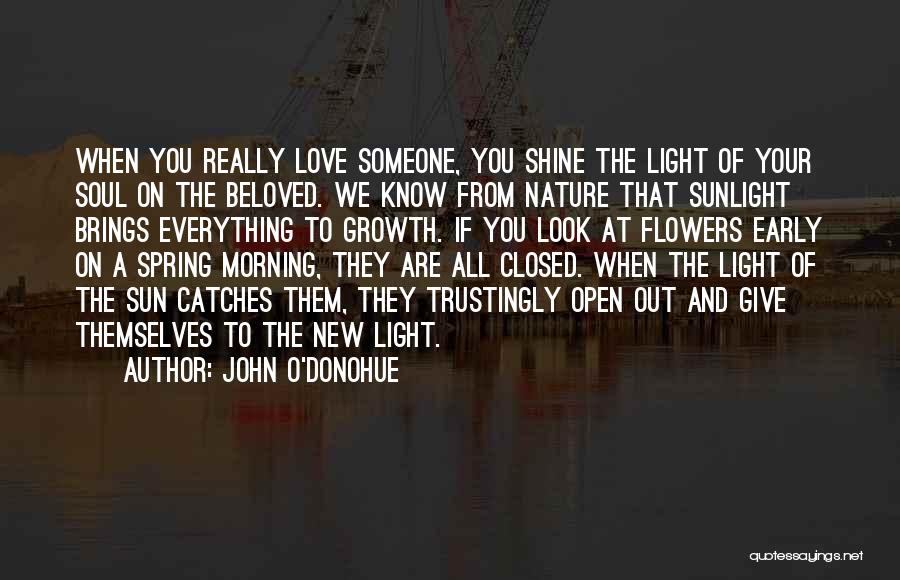 John O'Donohue Quotes: When You Really Love Someone, You Shine The Light Of Your Soul On The Beloved. We Know From Nature That