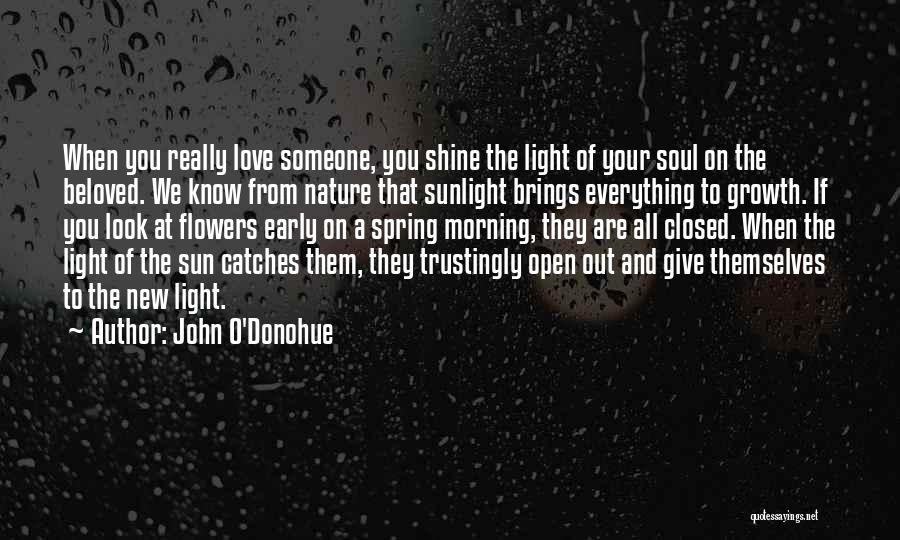 John O'Donohue Quotes: When You Really Love Someone, You Shine The Light Of Your Soul On The Beloved. We Know From Nature That