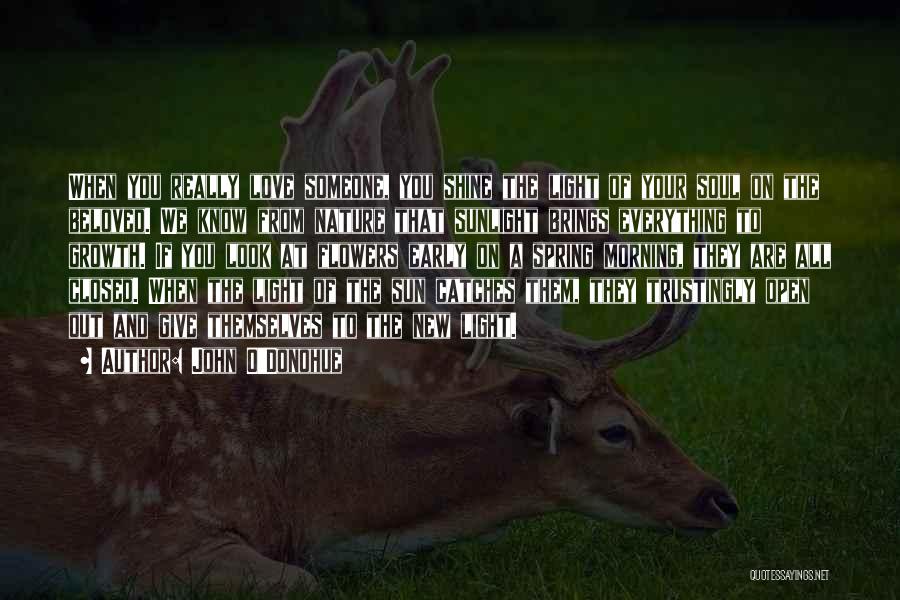 John O'Donohue Quotes: When You Really Love Someone, You Shine The Light Of Your Soul On The Beloved. We Know From Nature That