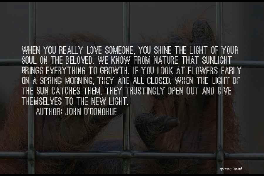 John O'Donohue Quotes: When You Really Love Someone, You Shine The Light Of Your Soul On The Beloved. We Know From Nature That