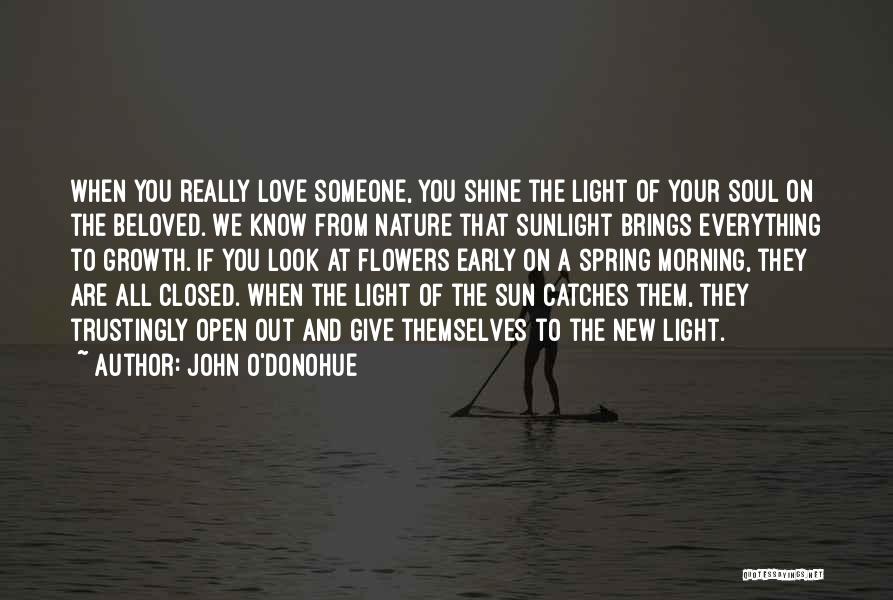 John O'Donohue Quotes: When You Really Love Someone, You Shine The Light Of Your Soul On The Beloved. We Know From Nature That