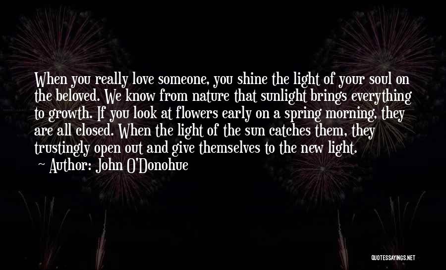 John O'Donohue Quotes: When You Really Love Someone, You Shine The Light Of Your Soul On The Beloved. We Know From Nature That