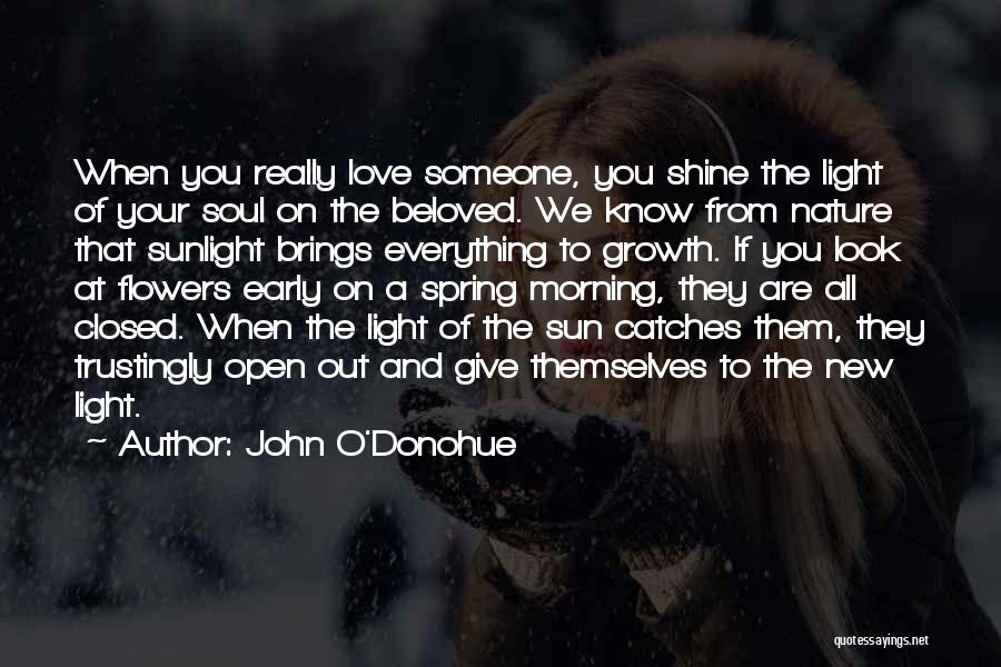 John O'Donohue Quotes: When You Really Love Someone, You Shine The Light Of Your Soul On The Beloved. We Know From Nature That