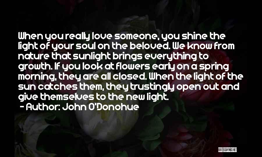 John O'Donohue Quotes: When You Really Love Someone, You Shine The Light Of Your Soul On The Beloved. We Know From Nature That