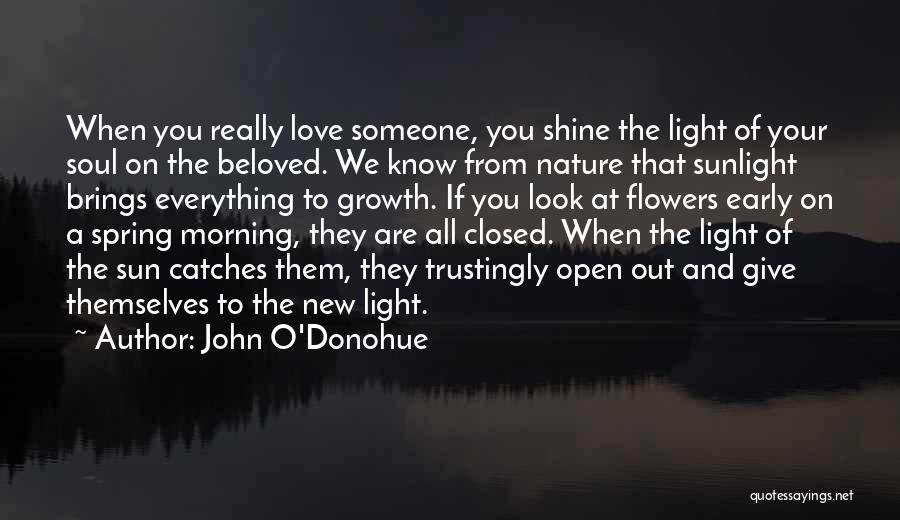 John O'Donohue Quotes: When You Really Love Someone, You Shine The Light Of Your Soul On The Beloved. We Know From Nature That