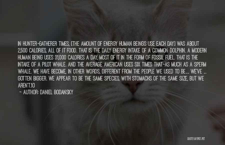 Daniel Bodansky Quotes: In Hunter-gatherer Times, [the Amount Of Energy Human Beings Use Each Day] Was About 2,500 Calories, All Of It Food.