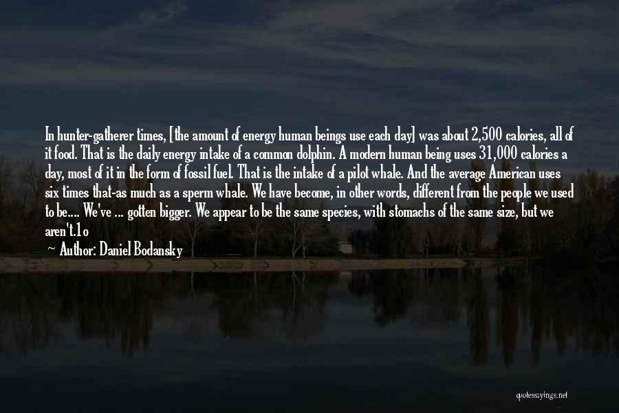 Daniel Bodansky Quotes: In Hunter-gatherer Times, [the Amount Of Energy Human Beings Use Each Day] Was About 2,500 Calories, All Of It Food.