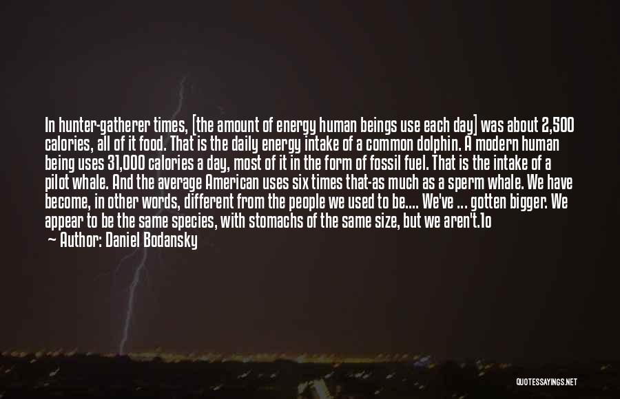 Daniel Bodansky Quotes: In Hunter-gatherer Times, [the Amount Of Energy Human Beings Use Each Day] Was About 2,500 Calories, All Of It Food.