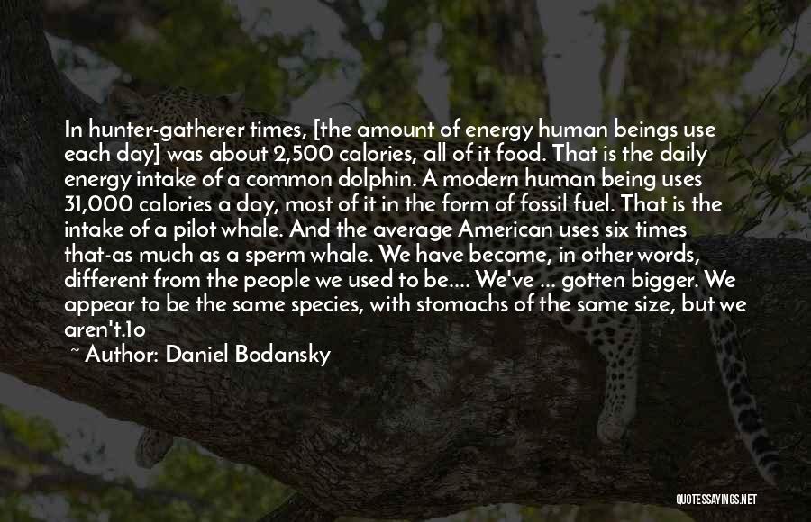 Daniel Bodansky Quotes: In Hunter-gatherer Times, [the Amount Of Energy Human Beings Use Each Day] Was About 2,500 Calories, All Of It Food.