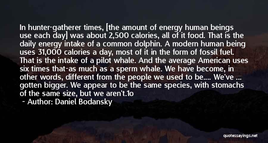 Daniel Bodansky Quotes: In Hunter-gatherer Times, [the Amount Of Energy Human Beings Use Each Day] Was About 2,500 Calories, All Of It Food.