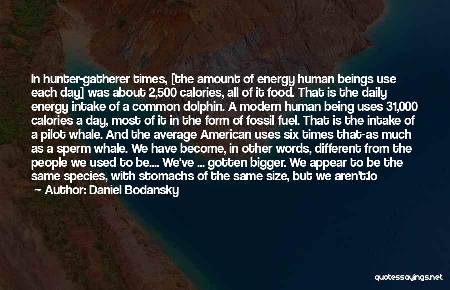 Daniel Bodansky Quotes: In Hunter-gatherer Times, [the Amount Of Energy Human Beings Use Each Day] Was About 2,500 Calories, All Of It Food.