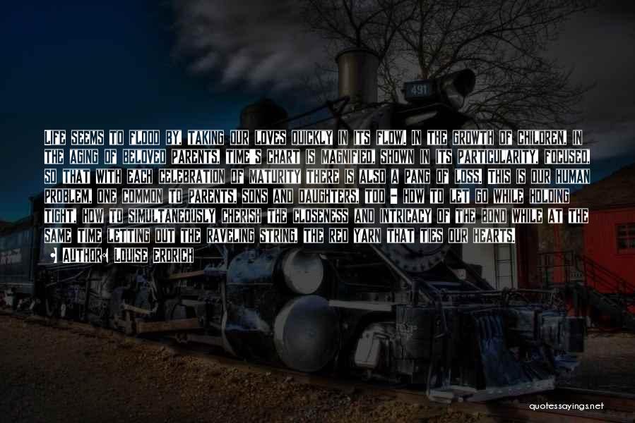 Louise Erdrich Quotes: Life Seems To Flood By, Taking Our Loves Quickly In Its Flow. In The Growth Of Children, In The Aging