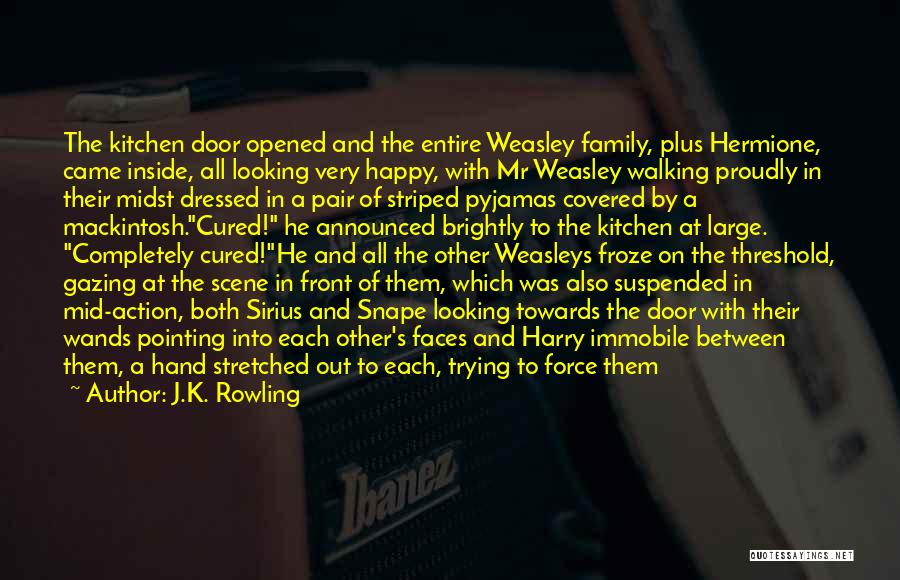 J.K. Rowling Quotes: The Kitchen Door Opened And The Entire Weasley Family, Plus Hermione, Came Inside, All Looking Very Happy, With Mr Weasley