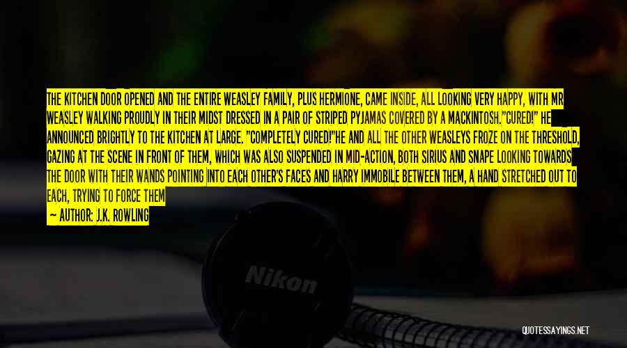 J.K. Rowling Quotes: The Kitchen Door Opened And The Entire Weasley Family, Plus Hermione, Came Inside, All Looking Very Happy, With Mr Weasley