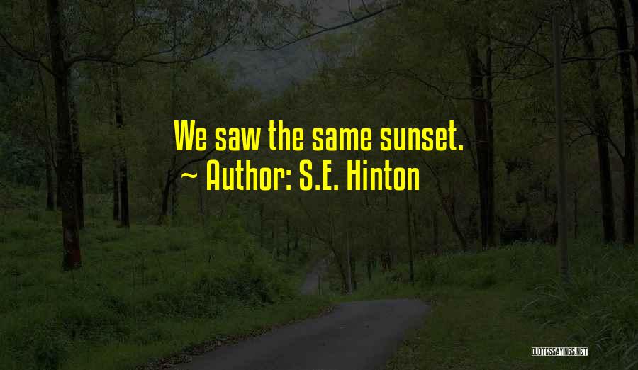 S.E. Hinton Quotes: We Saw The Same Sunset.