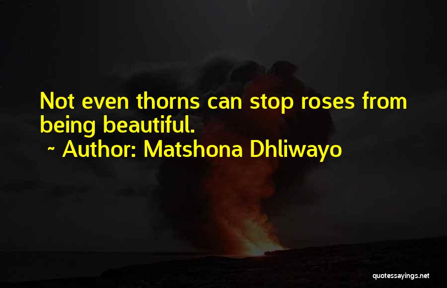 Matshona Dhliwayo Quotes: Not Even Thorns Can Stop Roses From Being Beautiful.