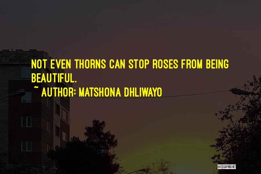 Matshona Dhliwayo Quotes: Not Even Thorns Can Stop Roses From Being Beautiful.