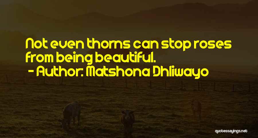 Matshona Dhliwayo Quotes: Not Even Thorns Can Stop Roses From Being Beautiful.