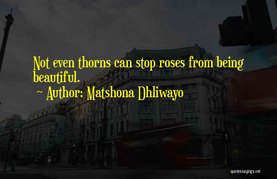 Matshona Dhliwayo Quotes: Not Even Thorns Can Stop Roses From Being Beautiful.