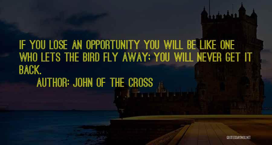 John Of The Cross Quotes: If You Lose An Opportunity You Will Be Like One Who Lets The Bird Fly Away; You Will Never Get