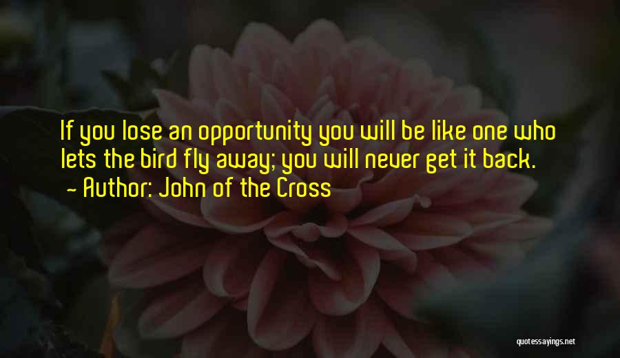 John Of The Cross Quotes: If You Lose An Opportunity You Will Be Like One Who Lets The Bird Fly Away; You Will Never Get