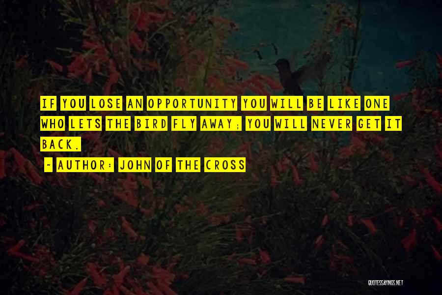 John Of The Cross Quotes: If You Lose An Opportunity You Will Be Like One Who Lets The Bird Fly Away; You Will Never Get