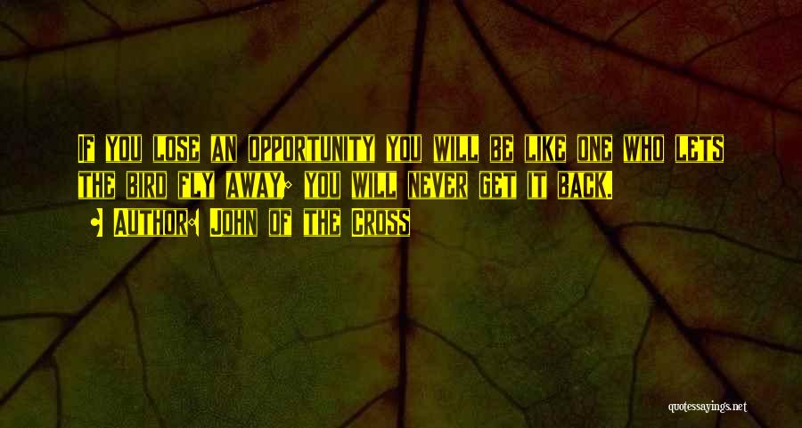 John Of The Cross Quotes: If You Lose An Opportunity You Will Be Like One Who Lets The Bird Fly Away; You Will Never Get